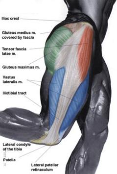 Sports Injury Bulletin - Anatomy - Driving a wedge between orthotics and  illiotibial band strain